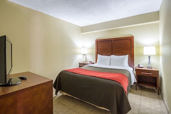 Standard Room, 1 King Bed, Non Smoking