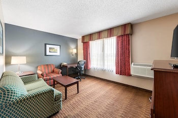 Suite, 1 King Bed, Non Smoking