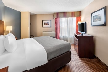 Suite, 1 King Bed, Non Smoking