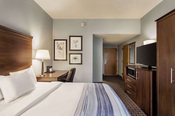 Room, 1 King Bed, Non Smoking