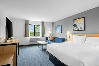 Room, 1 King Bed with Sofa bed