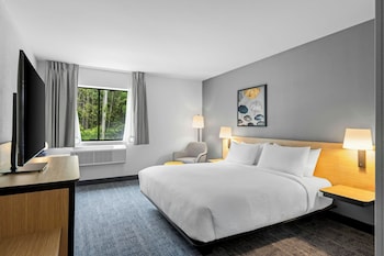 Room, 1 King Bed