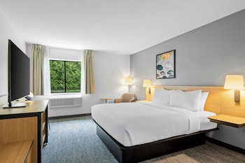 Room, 1 King Bed