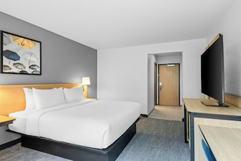 Room, 1 King Bed