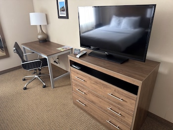 Suite, 1 King Bed, Non Smoking (Efficiency)