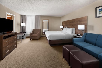 Suite, 1 King Bed, Non Smoking (Efficiency)