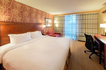 Room, 1 King Bed with Sofa bed, Hearing Accessible (Accessible Bathtub)