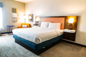 Room, 1 King Bed