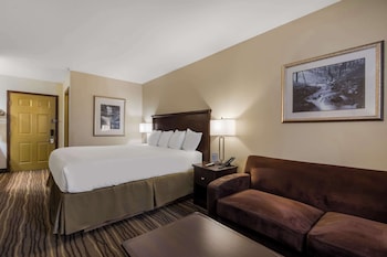 Standard Room, 1 King Bed, Non Smoking, Refrigerator & Microwave
