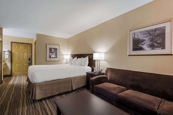 Standard Room, 1 King Bed, Non Smoking, Refrigerator & Microwave (with Sofabed)
