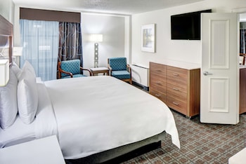 Executive Suite, 1 King Bed with Sofa bed, Non Smoking