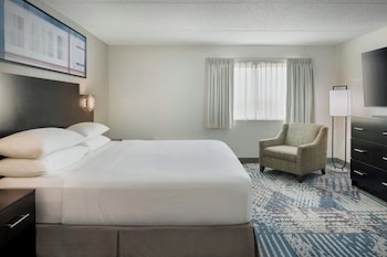 Suite, 1 King Bed with Sofa bed