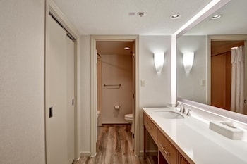 Suite, 1 King Bed with Sofa bed