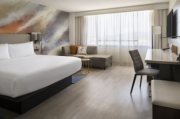 Room, 1 King Bed