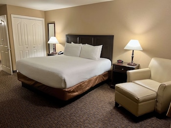 Standard Room, 1 King Bed, Accessible, Non Smoking (Walk-in Shower)