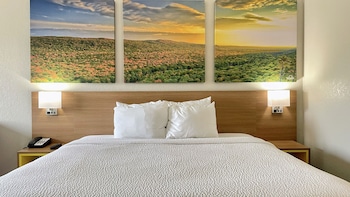 Room, 1 King Bed, Accessible, Non Smoking
