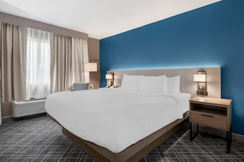 Room, 1 King Bed, Non Smoking