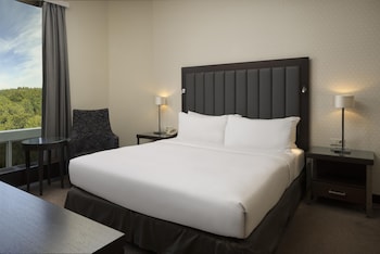 Deluxe Suite, 1 Double Bed, Bathtub