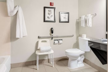 Studio Suite, 1 King Bed, Accessible, Non Smoking (Dog Friendly)
