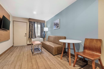 Standard Room, 1 Queen Bed, Accessible, Non Smoking (1st Floor;Living Room;Pet Friendly)