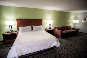 Standard Room, 1 King Bed with Sofa bed