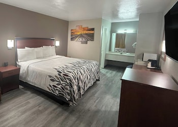 Superior Room, 1 King Bed, Non Smoking