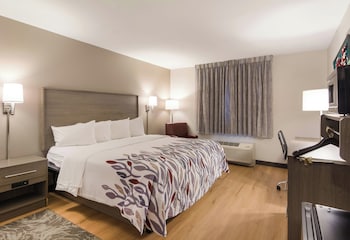 Superior Room, 1 King Bed, Non Smoking