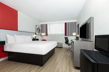 Room, 1 King Bed, Mobility Accessible, Non Smoking (Mobility, Roll-in Shower)