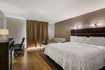 Standard Suite, 1 King Bed, Jetted Tub (Kitchenette, Smoke Free)