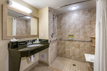 Standard Room, 1 King Bed, Roll-in Shower (Communications, Roll-In Shower)