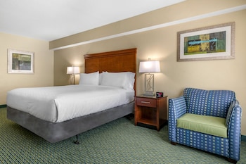 Standard Room, 1 King Bed, Roll-in Shower (Communications, Roll-In Shower)
