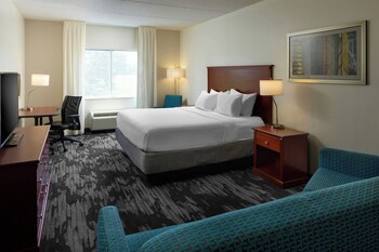Room, 1 King Bed with Sofa bed