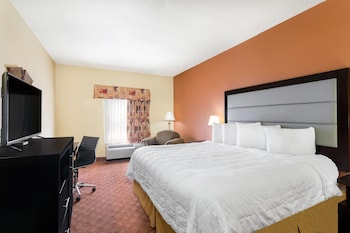 Room, 1 King Bed, Non Smoking