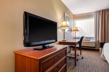 Room, 1 King Bed, Accessible, Non Smoking