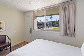 Room, 1 King Bed, Poolside