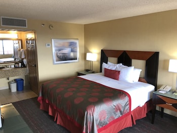 Room, 1 King Bed, Non Smoking