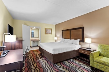 Room, 1 King Bed, Non Smoking