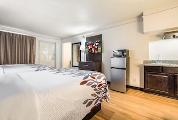 Deluxe Room, 1 Double Bed, Non Smoking, Kitchenette