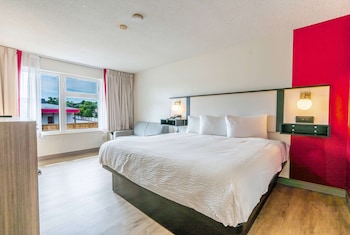 Room, 1 King Bed, Non Smoking (Ground Floor)
