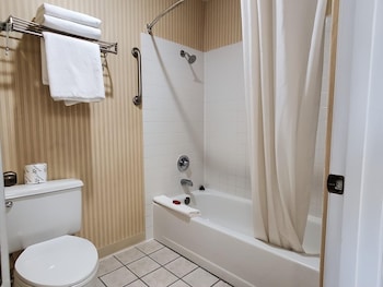 Room, 1 King Bed, Accessible