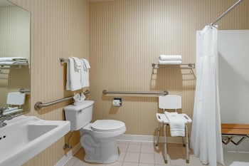 Room, 1 King Bed, Roll-in Shower