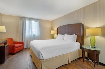 Room, 1 King Bed, Roll-in Shower
