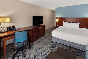 Standard Room, 1 King Bed, Non Smoking (with Sofabed)