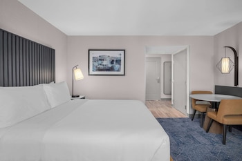 Suite, 1 King Bed