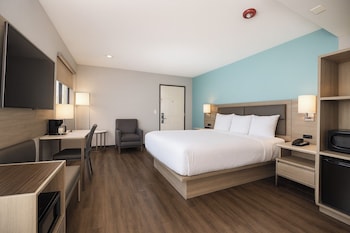 Room, 1 King Bed, Accessible