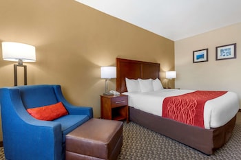 Standard Room, 1 Queen Bed, Accessible, Non Smoking (Bathtub)