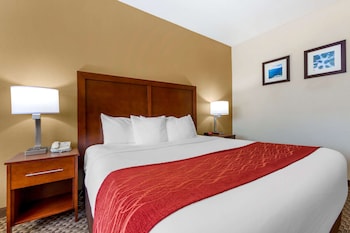 Standard Room, 1 Queen Bed, Accessible, Non Smoking (Bathtub)