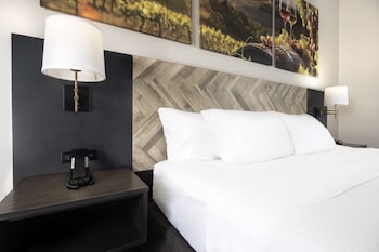 Room, 1 King Bed, Accessible, Non Smoking