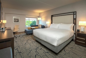 Room, 1 King Bed
