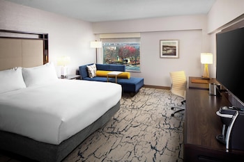 Room, 1 King Bed